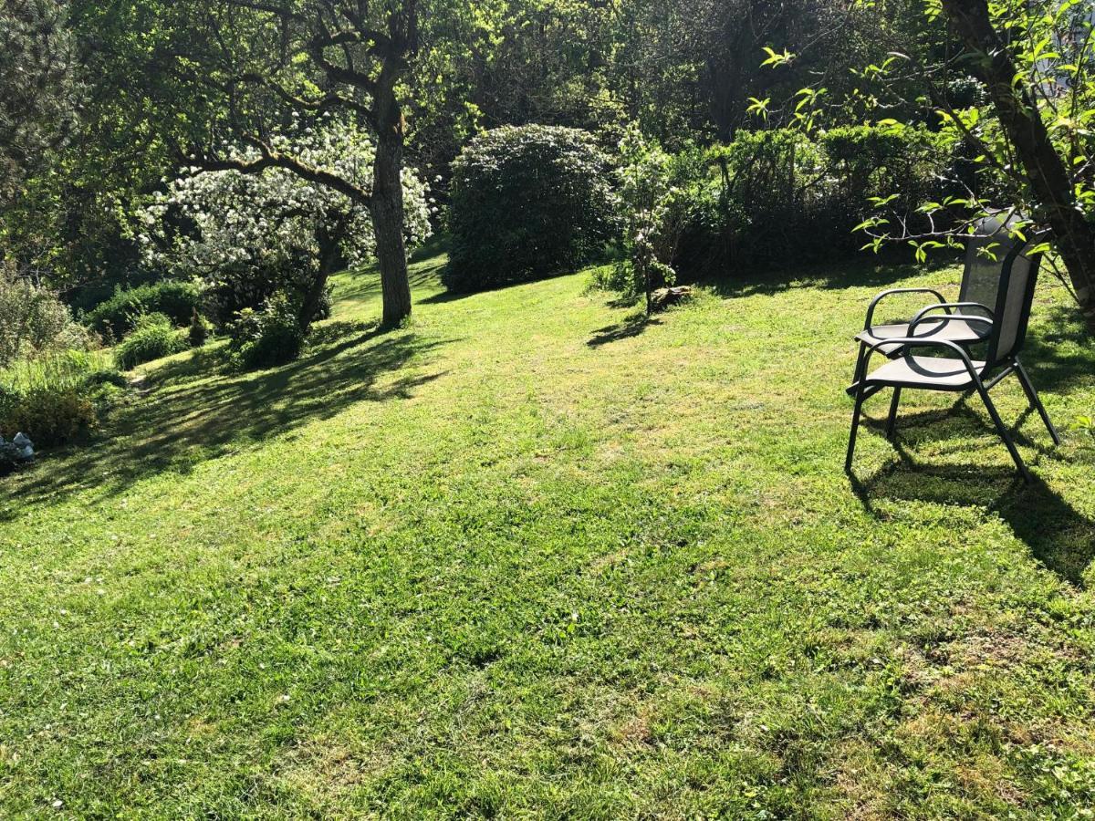 Am Alten Apfelbaum - Fewo 2 Cochem Exteriör bild